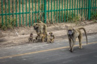 blog_namibia_20141110_162751 blog_namibia_20141110_162751