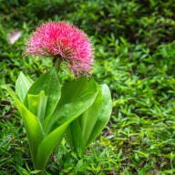 blog_namibia_20141111_085128 blog_namibia_20141111_085128