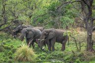 blog_namibia_20141111_090701 blog_namibia_20141111_090701