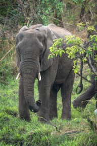 blog_namibia_20141111_090744 blog_namibia_20141111_090744