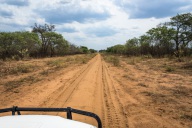 blog_namibia_20141111_152903 blog_namibia_20141111_152903