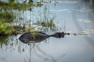 blog_namibia_20141111_173438 blog_namibia_20141111_173438