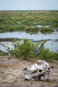 blog_namibia_20141111_174147 blog_namibia_20141111_174147