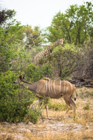 blog_namibia_20141111_174550 blog_namibia_20141111_174550