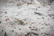 blog_namibia_20141111_184928 blog_namibia_20141111_184928