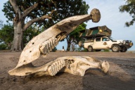 blog_namibia_20141112_075651 blog_namibia_20141112_075651