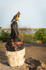 blog_namibia_20141112_075758 blog_namibia_20141112_075758