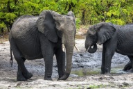 blog_namibia_20141112_115034 blog_namibia_20141112_115034