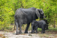 blog_namibia_20141112_115043 blog_namibia_20141112_115043