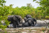 blog_namibia_20141112_115239 blog_namibia_20141112_115239