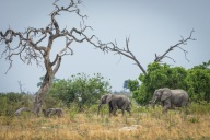 blog_namibia_20141112_124112 blog_namibia_20141112_124112