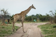 blog_namibia_20141112_130619 blog_namibia_20141112_130619