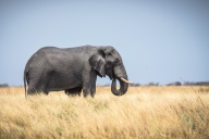 blog_namibia_20141112_144821 blog_namibia_20141112_144821