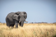 blog_namibia_20141112_144944 blog_namibia_20141112_144944