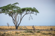 blog_namibia_20141112_145544 blog_namibia_20141112_145544