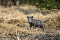 blog_namibia_20141112_151815 blog_namibia_20141112_151815