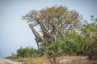 blog_namibia_20141112_155143 blog_namibia_20141112_155143