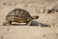 blog_namibia_20141112_164936 blog_namibia_20141112_164936