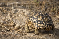 blog_namibia_20141112_165143 blog_namibia_20141112_165143