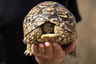 blog_namibia_20141112_165243 blog_namibia_20141112_165243