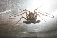 blog_namibia_20141113_165330 blog_namibia_20141113_165330