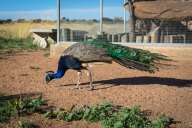 blog_namibia_20141113_170817 blog_namibia_20141113_170817