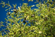 blog_namibia_20141113_174208 blog_namibia_20141113_174208