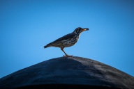 blog_namibia_20141113_174339 blog_namibia_20141113_174339