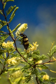 blog_namibia_20141113_175512 blog_namibia_20141113_175512
