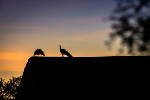 blog_namibia_20141113_192123 blog_namibia_20141113_192123