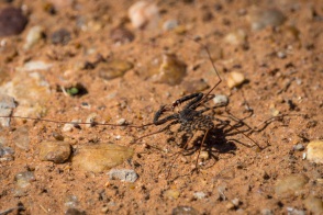 blog_namibia_20141114_100000 blog_namibia_20141114_100000