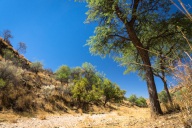 blog_namibia_20141114_145856 blog_namibia_20141114_145856