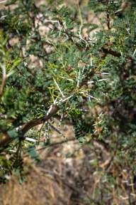 blog_namibia_20141114_150312 blog_namibia_20141114_150312