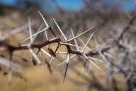 blog_namibia_20141114_152824 blog_namibia_20141114_152824