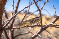 blog_namibia_20141114_155459 blog_namibia_20141114_155459