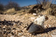 blog_namibia_20141114_161252 blog_namibia_20141114_161252