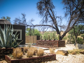 blog_namibia_20141115_110531 blog_namibia_20141115_110531