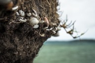 blog_neuseeland_2017_20171224_125406 blog_neuseeland_2017_20171224_125406