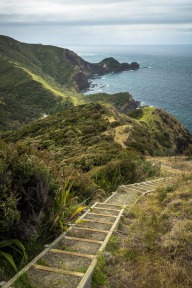 blog_neuseeland_2017_20171224_151852 blog_neuseeland_2017_20171224_151852