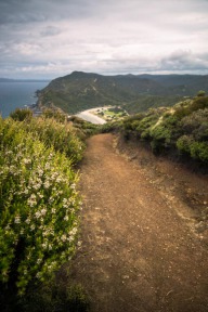 blog_neuseeland_2017_20171224_153056 blog_neuseeland_2017_20171224_153056