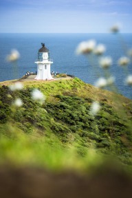 blog_neuseeland_2017_20171225_081312 blog_neuseeland_2017_20171225_081312