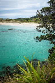 blog_neuseeland_2017_20171225_154800 blog_neuseeland_2017_20171225_154800