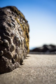 blog_neuseeland_2017_20171227_072744 blog_neuseeland_2017_20171227_072744