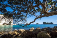 blog_neuseeland_2017_20171227_082548 blog_neuseeland_2017_20171227_082548