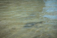 blog_neuseeland_2017_20171227_085949 blog_neuseeland_2017_20171227_085949