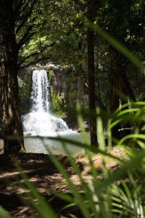 blog_neuseeland_2017_20171227_112316 blog_neuseeland_2017_20171227_112316