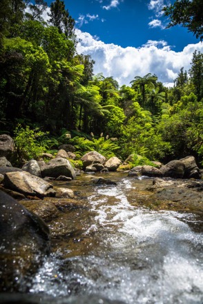 blog_neuseeland_2017_20171227_113113 blog_neuseeland_2017_20171227_113113