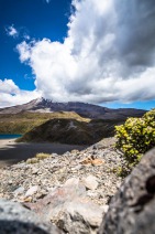 blog_neuseeland_2017_20171229_120624 blog_neuseeland_2017_20171229_120624