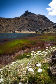 blog_neuseeland_2017_20171230_090052 blog_neuseeland_2017_20171230_090052