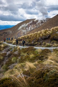 blog_neuseeland_2017_20171230_103508 blog_neuseeland_2017_20171230_103508